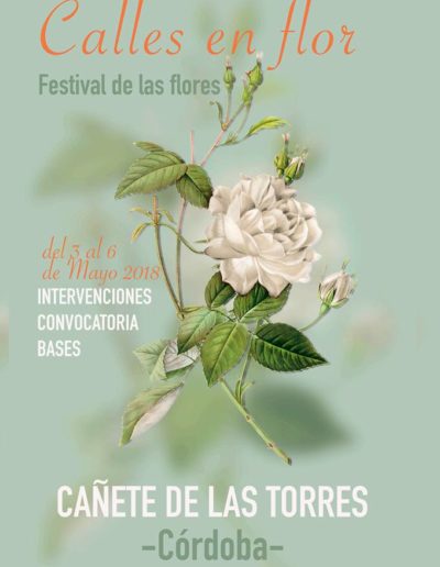 Bases de la 1ª edición del Festival de las Flores "Calles en Flor"  1