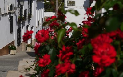 Cañete de las Torres se reinventa como la primera villa botánica de España