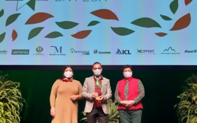 Cañete de las Torres recibe el Premio Flor de Andalucía por segundo año consecutivo por su trabajo medioambiental