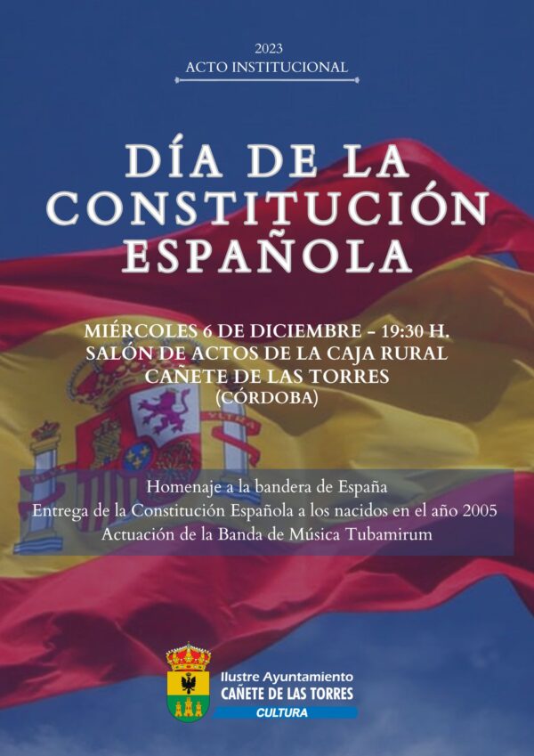 cartel día de la constitución