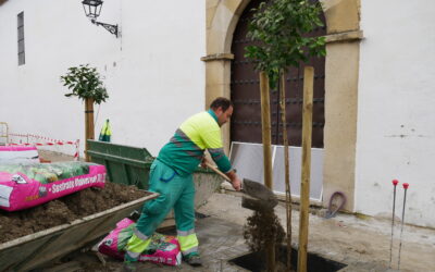 El Ayuntamiento de Cañete de las Torres ultima las labores de jardinería en la avda. jaén